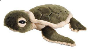 12" Hatchling Turtle