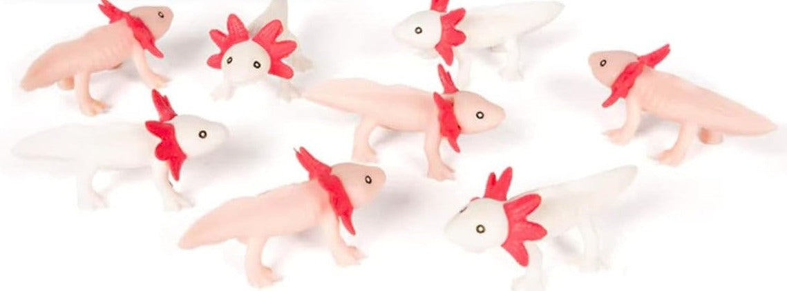 Itty Bitty Axolotls - Set of 8