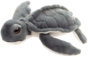 15" Kemp Turtle