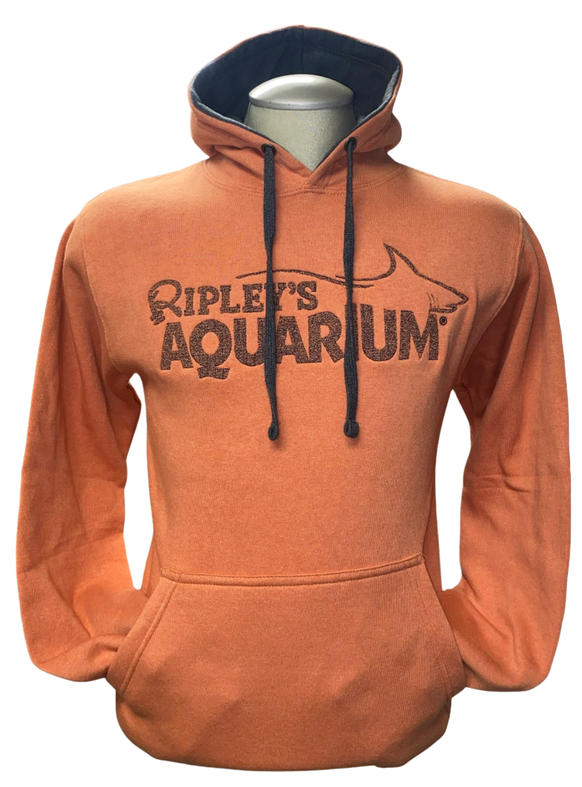 Embroidered Two Tone Hoodie