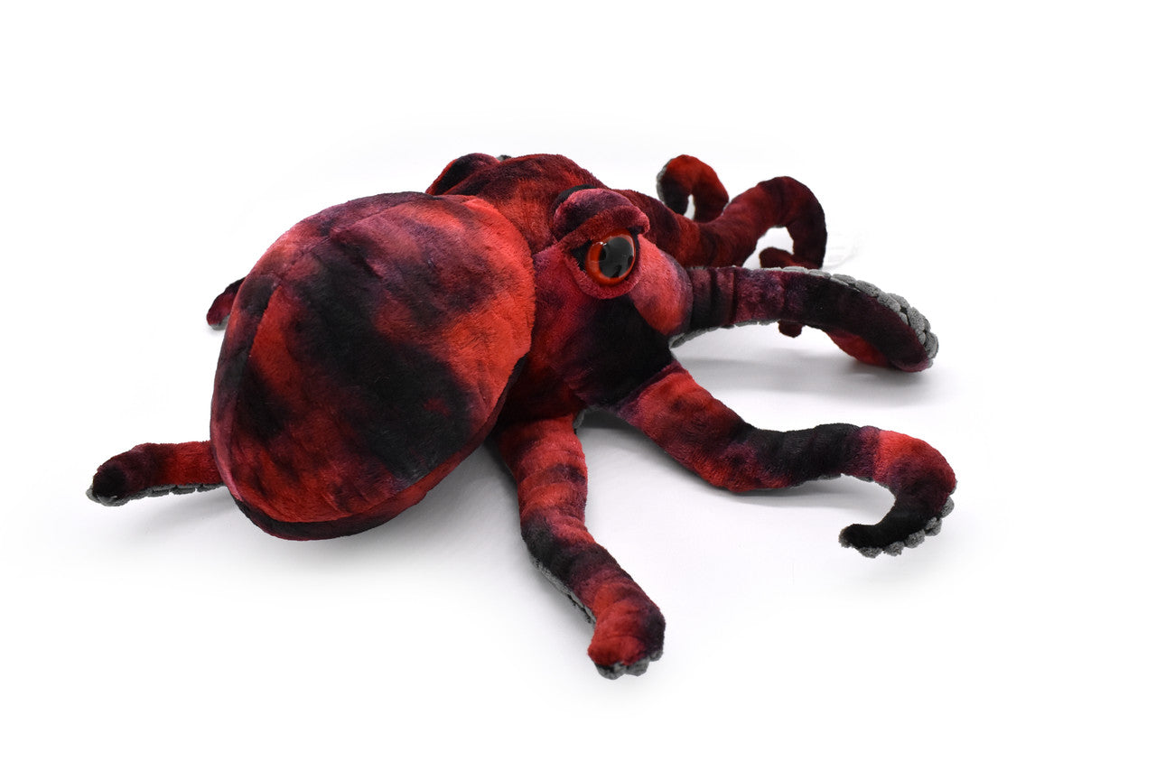 Red Octopus