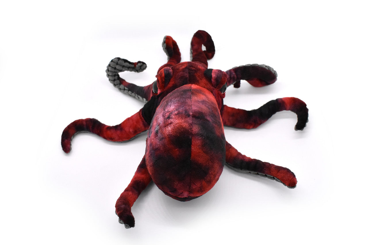 Red Octopus