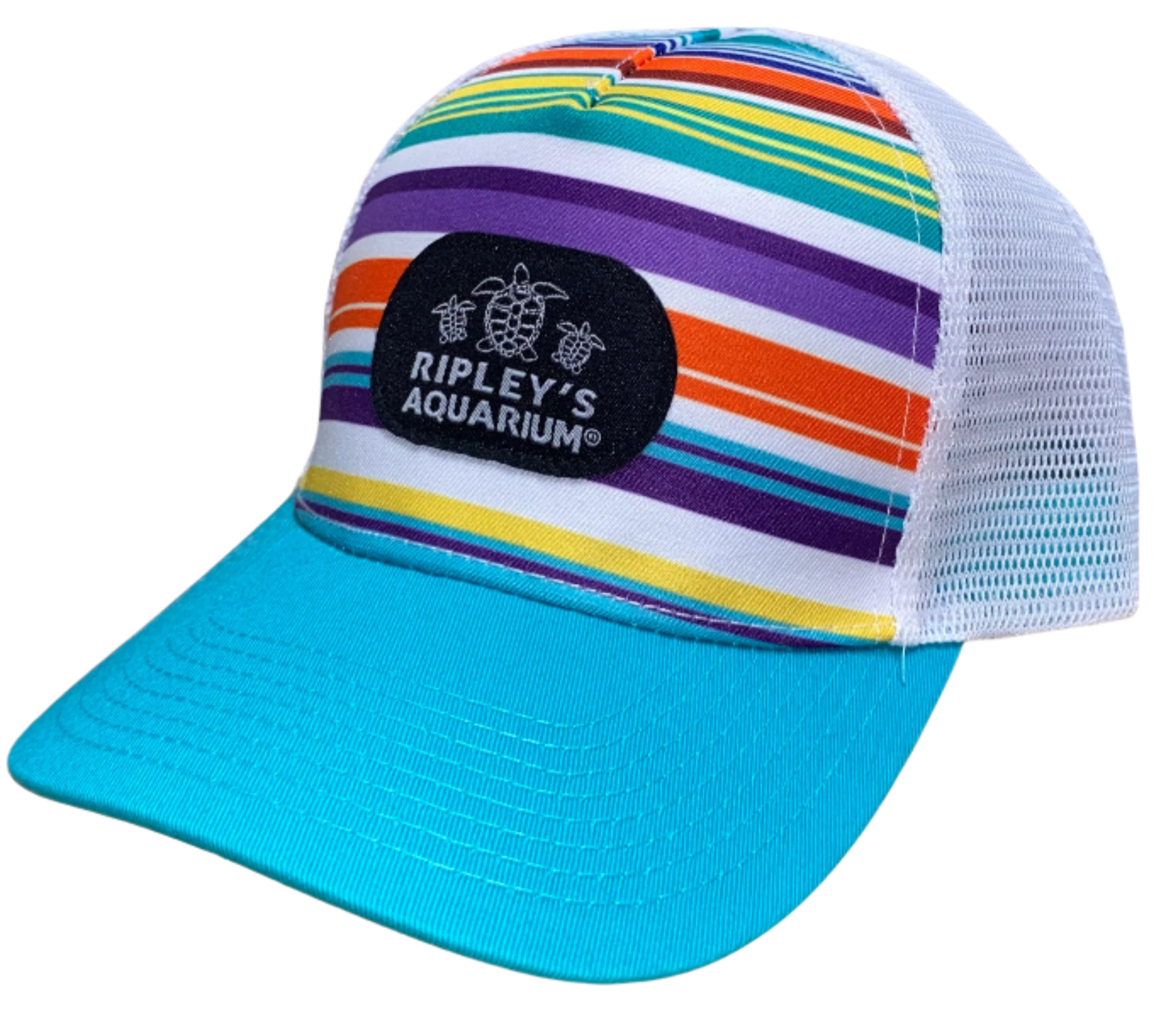 Summer Rays Hat (Teal)