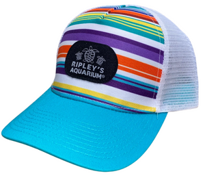 Summer Rays Hat (Teal)