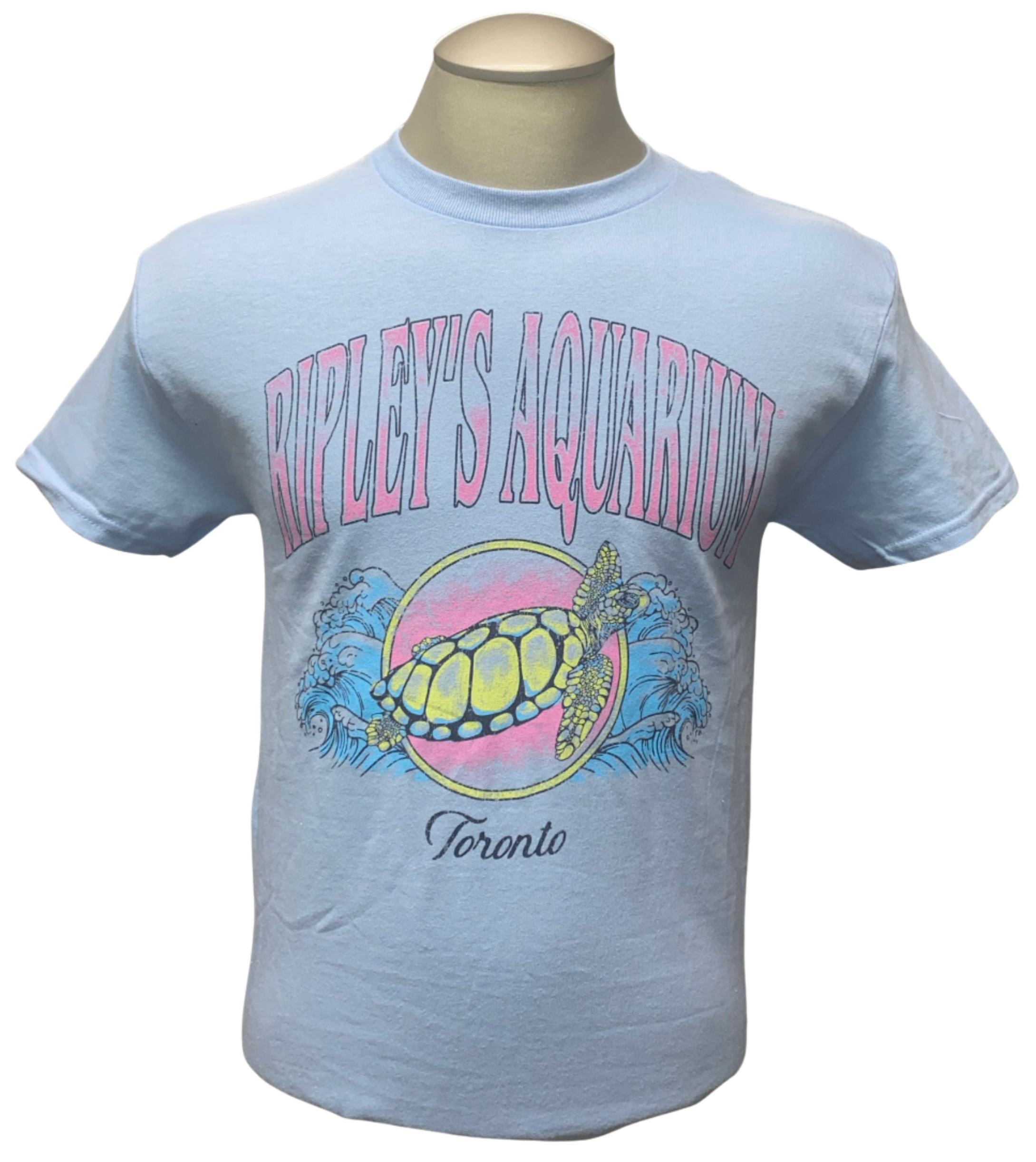 Kingston Turtle Tee