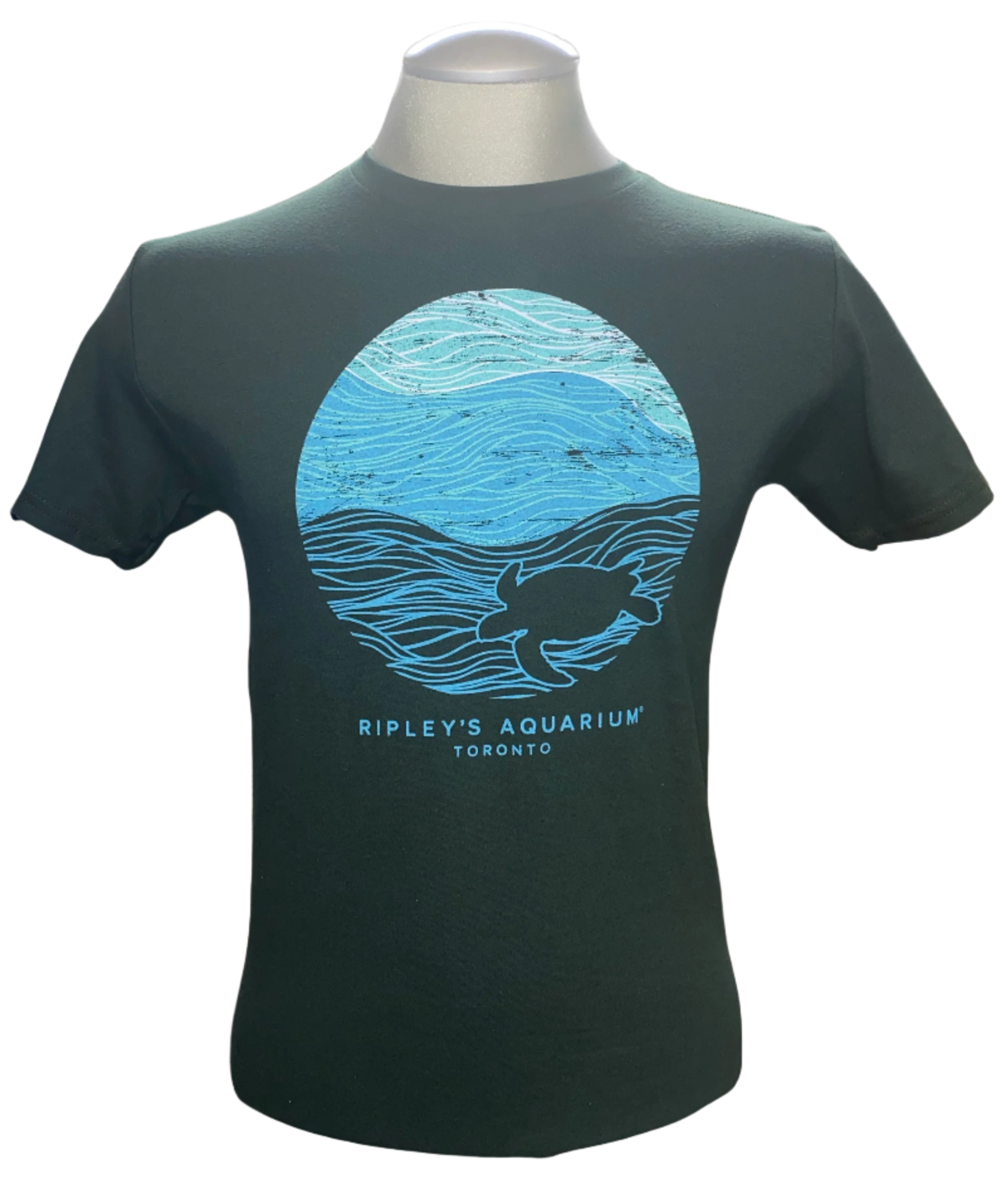 Ringspun Sustainable Tee