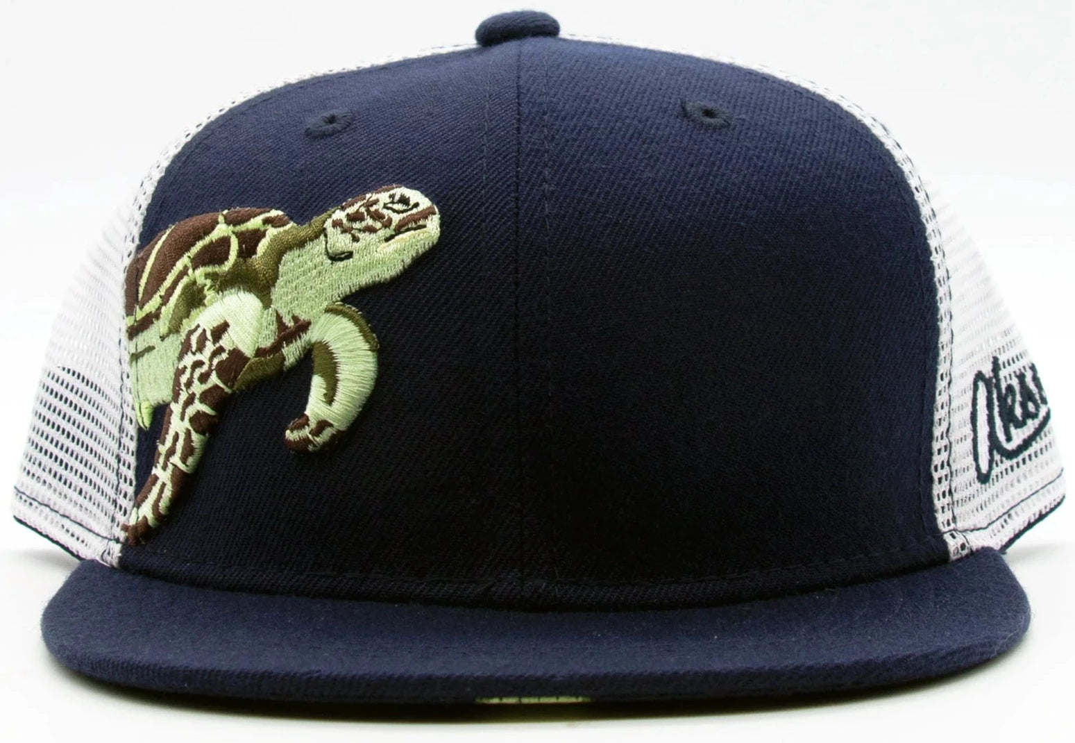 Kids Turtle Flatbill Snapback Hat