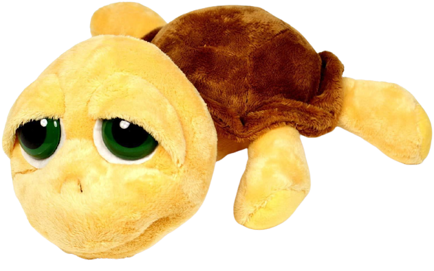 Medium Yellow Turtle