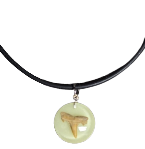 Glow in the Dark Shark tooth Necklace (NL5-AF)