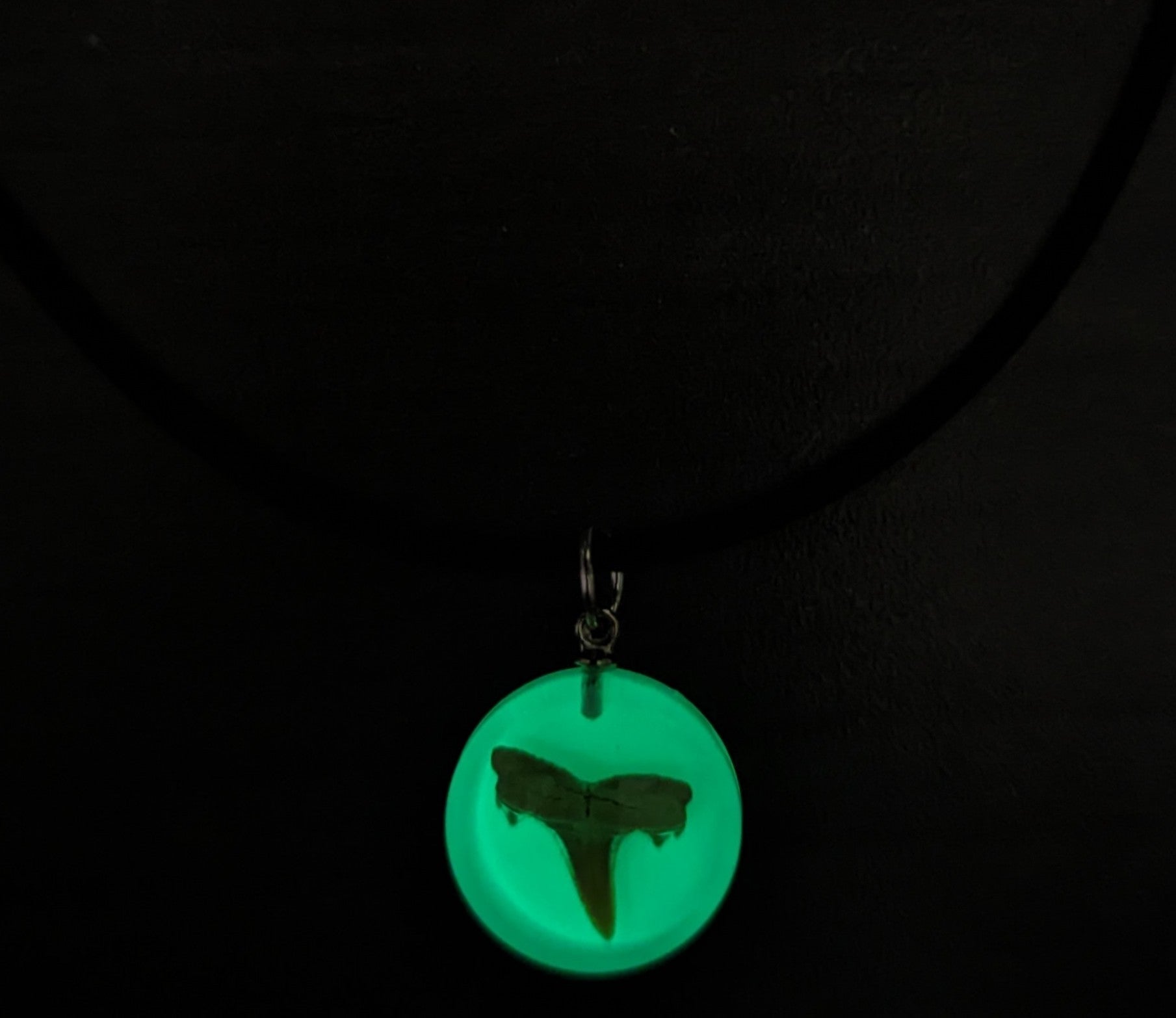 Glow in the Dark Shark tooth Necklace (NL5-AF)