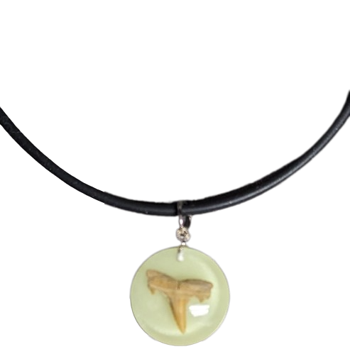 Shark tooth pendant necklace online