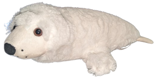 17" White Harp Seal