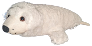 17" White Harp Seal