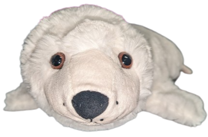 17" White Harp Seal