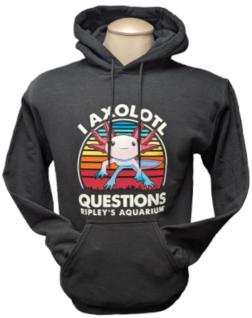 Axolotl Questions Hoodie