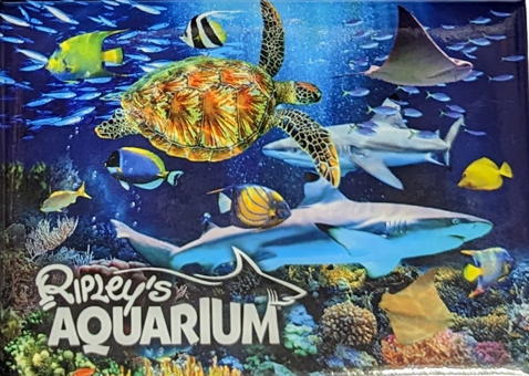 RAOC Sealife Magnet