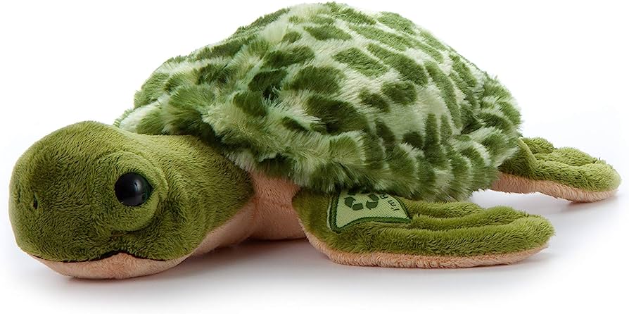 Simone's Turtle Collection Products – Page 2 – ripleysaquariumstore