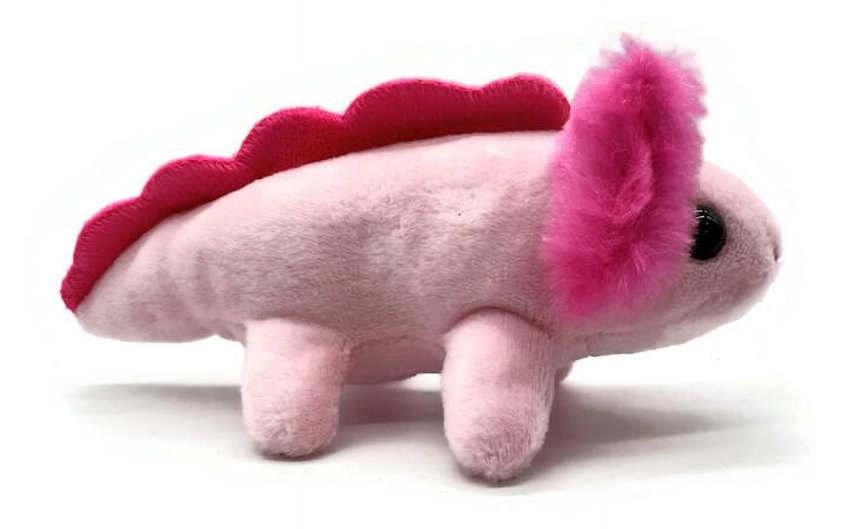 17" Mermaid with Axolotl