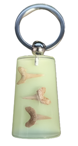 Glow in the Dark Shark Tooth Keychain (KC11)