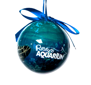 Ripley's Seaturtle Ornament