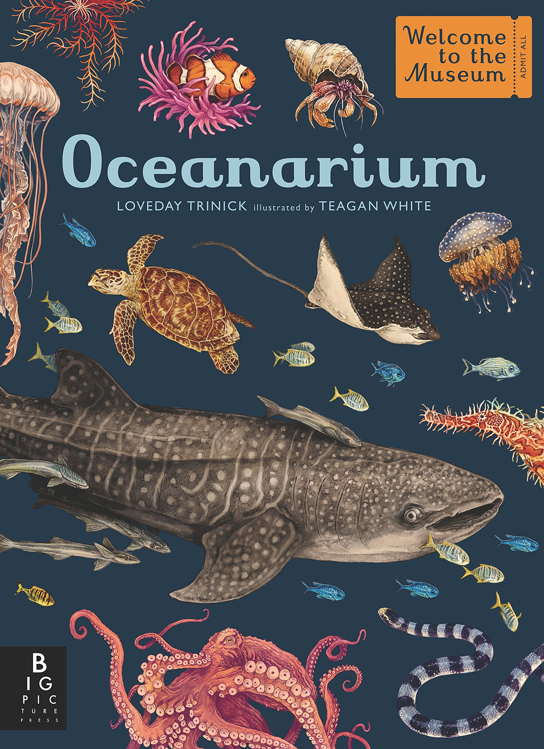 Oceanarium Hardcover