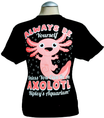 Always Be Yourself Youth Tee