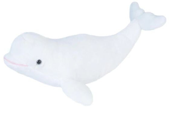 Beluga Whales