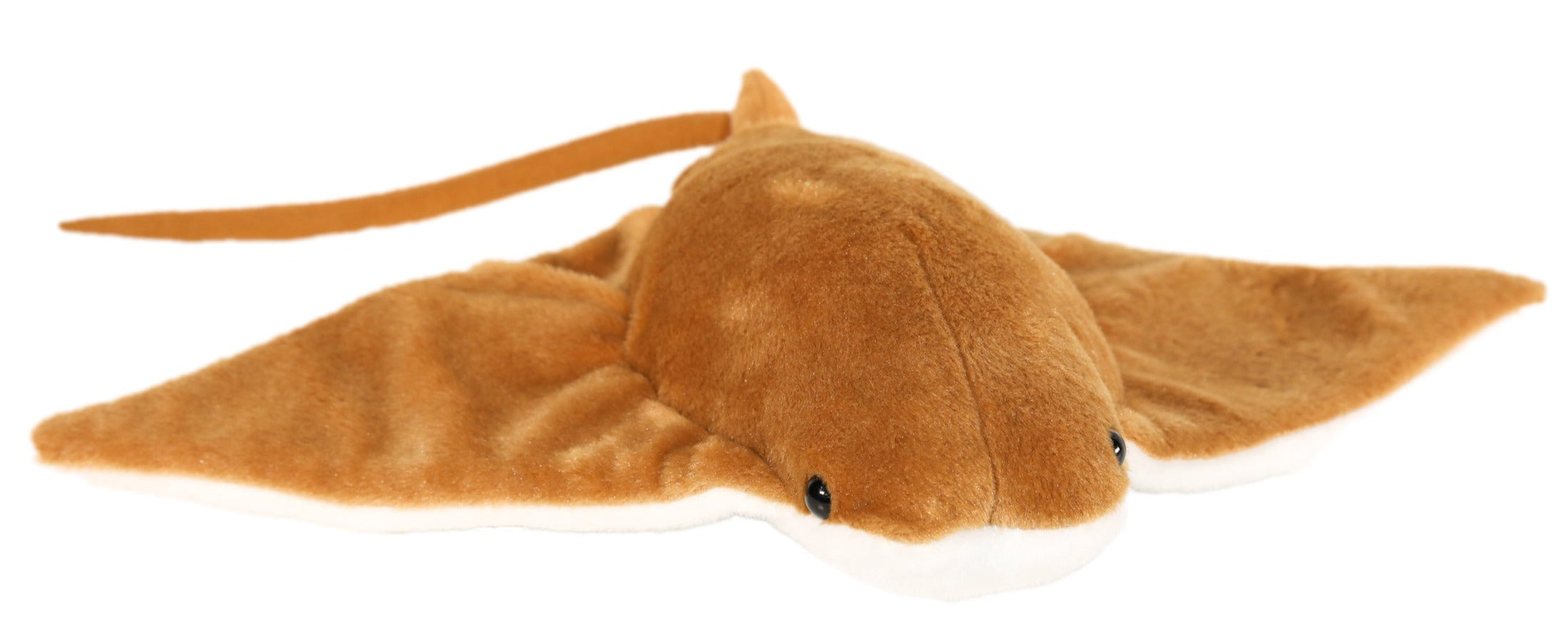 Cownose Ray