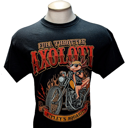 Full Throttle Axolotl Motorbike Tee – ripleysaquariumstore Full Throttle Axolotl Motorbike Tee – ripleysaquariumstore