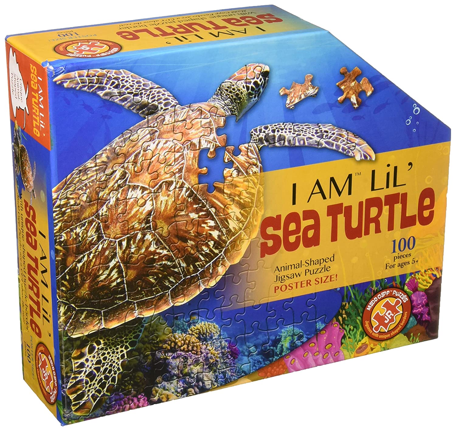 I Am Lil: Sea Turtle Puzzle