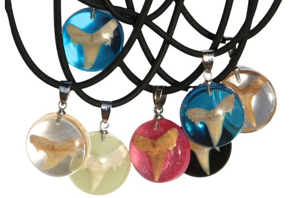 Where can i buy a shark tooth necklace hotsell