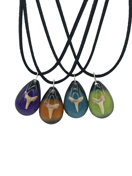 Sand Tiger Sharktooth Necklace