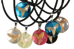 Shark tooth Necklace (NL5-A)