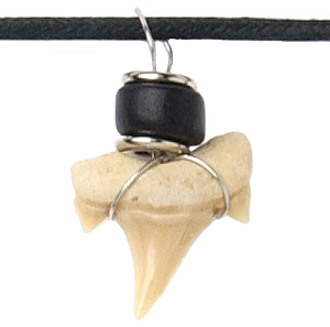 Shark tooth Necklace (NL5-B)