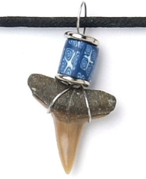 Shark tooth Necklace (NL5-F)