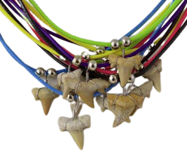 Shark tooth Necklace (NL8-CCN)