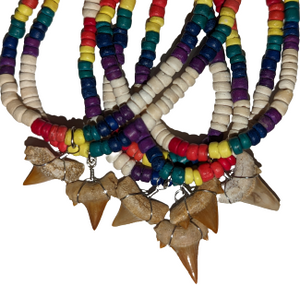 Shark tooth Necklace (NL8-CRB)