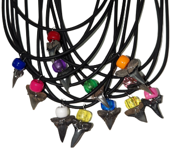 Shark tooth Necklace (NL8-P)