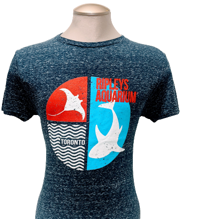 AD Shark Circle Tee
