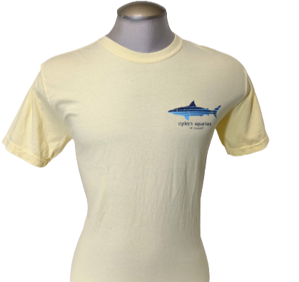 Line Up Shark Left Chest Tee