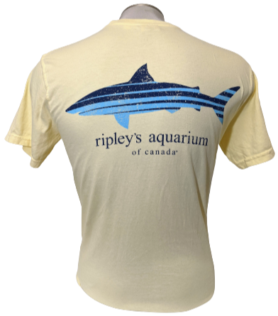 Line Up Shark Left Chest Tee