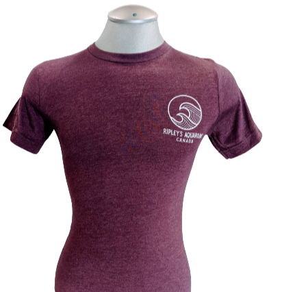 Incline Shark Left Chest Tee