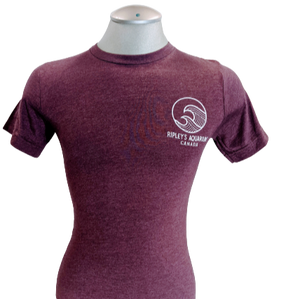 Incline Shark Left Chest Tee