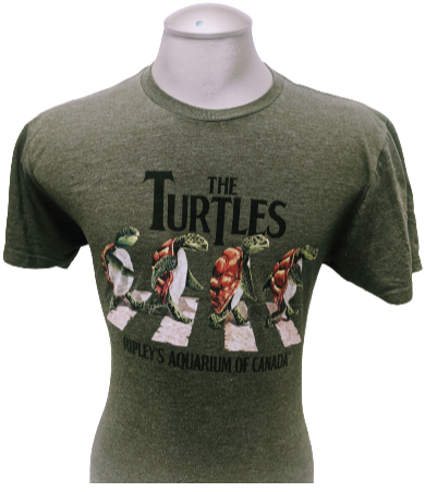 Adult The Turtles Tee
