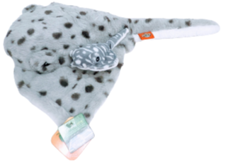 Stingray with Baby
