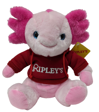 9" Hoodie Axolotl
