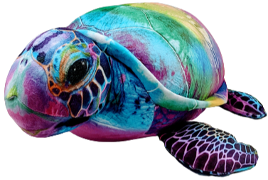 14.5" Real Colorful Turtle