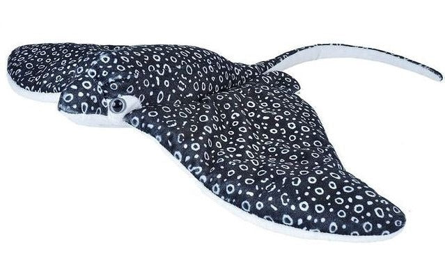 12" Spotted Eagle Ray