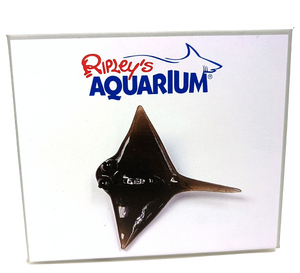 Stingray Glass Ornament
