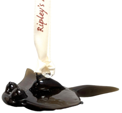 Stingray Glass Ornament